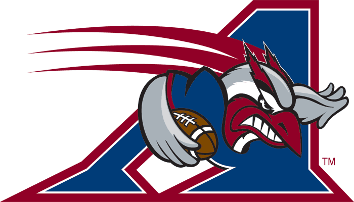 Montreal Alouettes iron ons